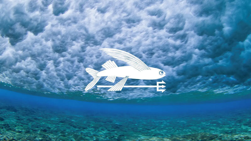 パタゴニア、サーフストア3店舗を大リニューアル!