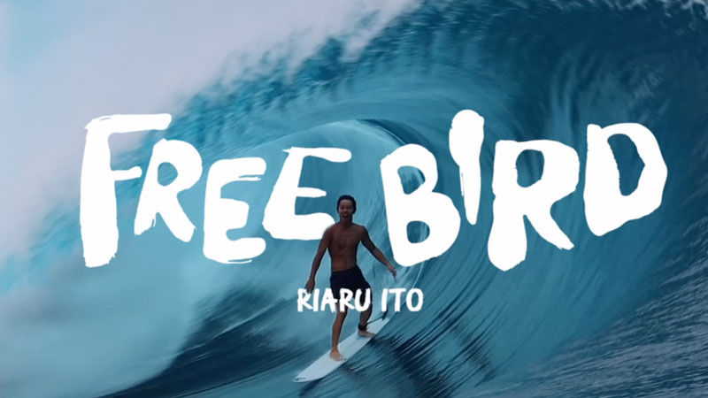 映画『FREE BIRD』全国上映ツアー決定!