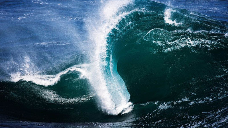 不気味極まりない強烈なブレイクは象を連想させる。