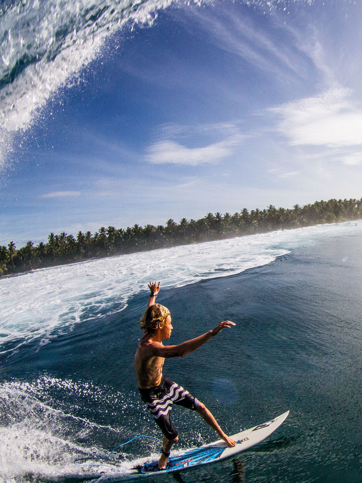 【中古】 THE SURFER’S JOURNAL 27．5 ザ・サーファーズ・ジャーナル 日本版8．5 / アウトドア・ジャパン・メディア 8.5 / ザ・サーファーズ・ジャーナル日本版